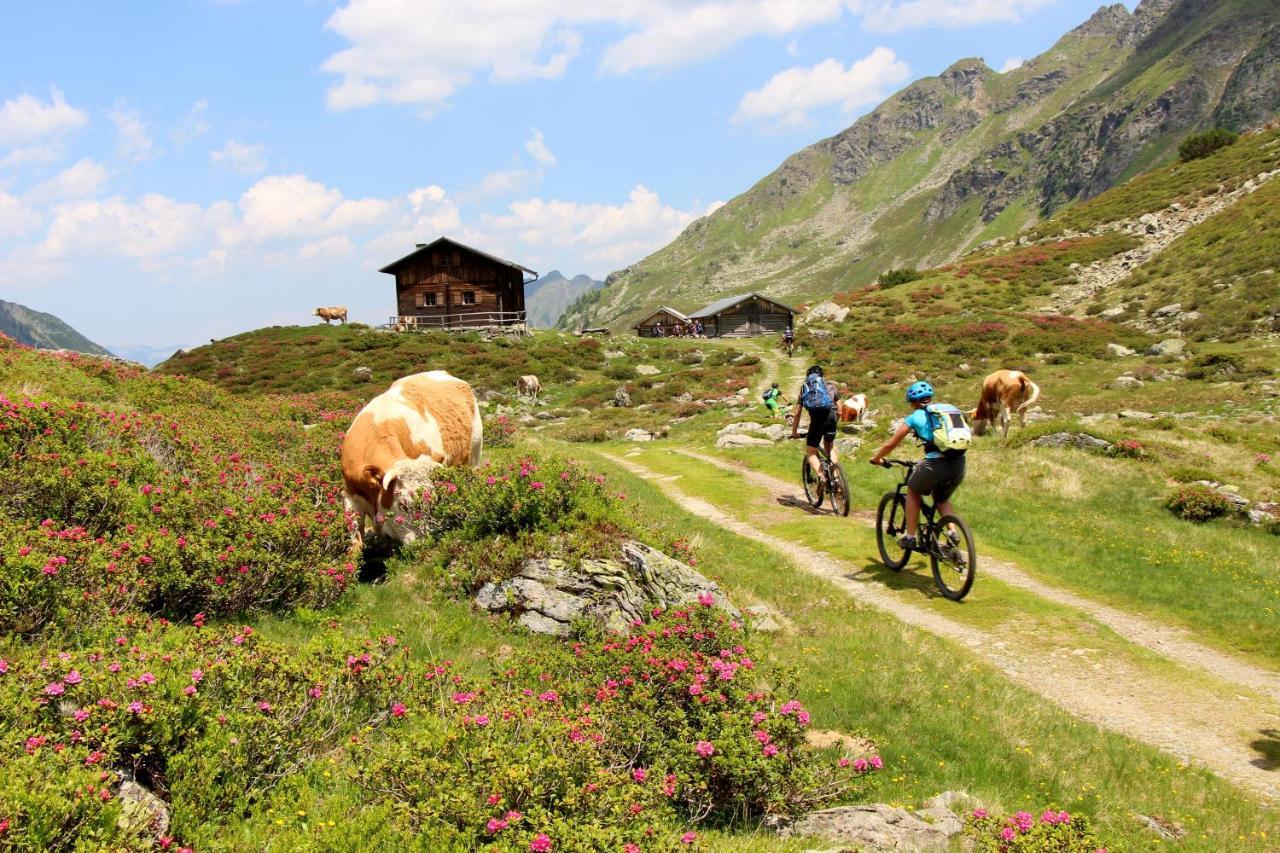 Rohrmooser Schloessl Schladming Exteriör bild
